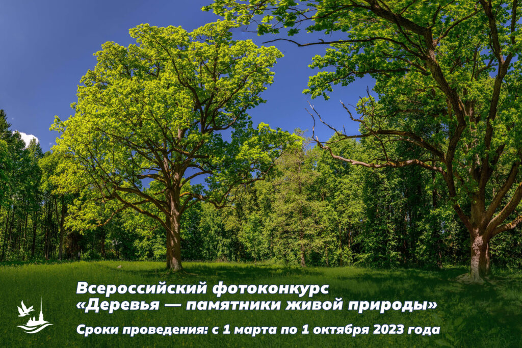 Стартовал всероссийский фотоконкурс «Деревья — памятники живой природы»