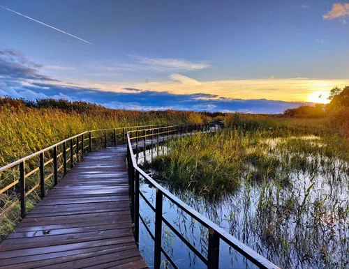 Открыт новый экомаршрут на берегу Финского залива к востоку от поселка Лисий Нос