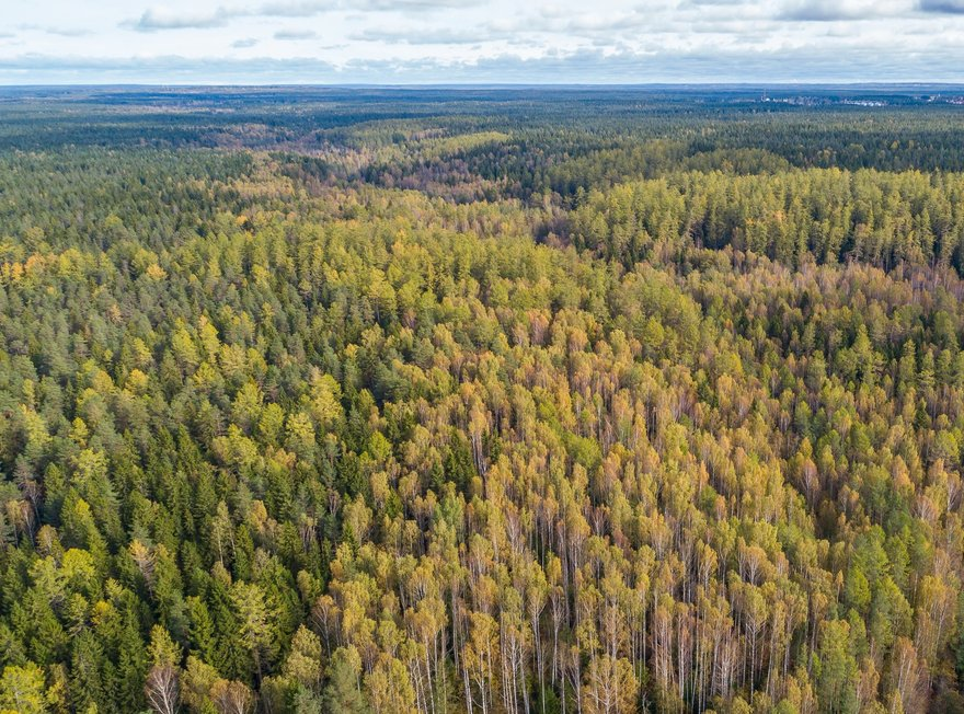 День рождения заказника «Левашовский»!