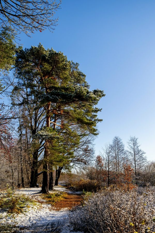 Заказник «Северное побережье Невской губы» был открыт 16 лет назад!