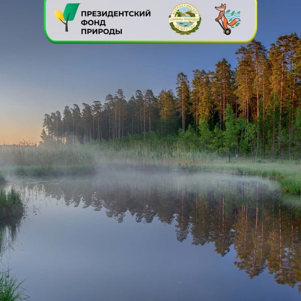 Совместный проект Санкт-Петербургского городского отделения Всероссийского общества охраны природы (ВООП) и Санкт-Петербургского Общественного Фонда социально-экономического развития Лисьего Носа «Морские Дубки» стал обладателем гранта Президентского фонда природы. 