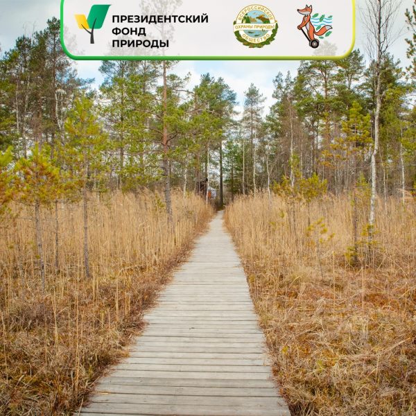 Эколого-просветительский туризм