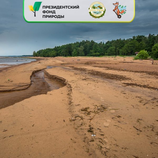 Продолжаение реализации проекта